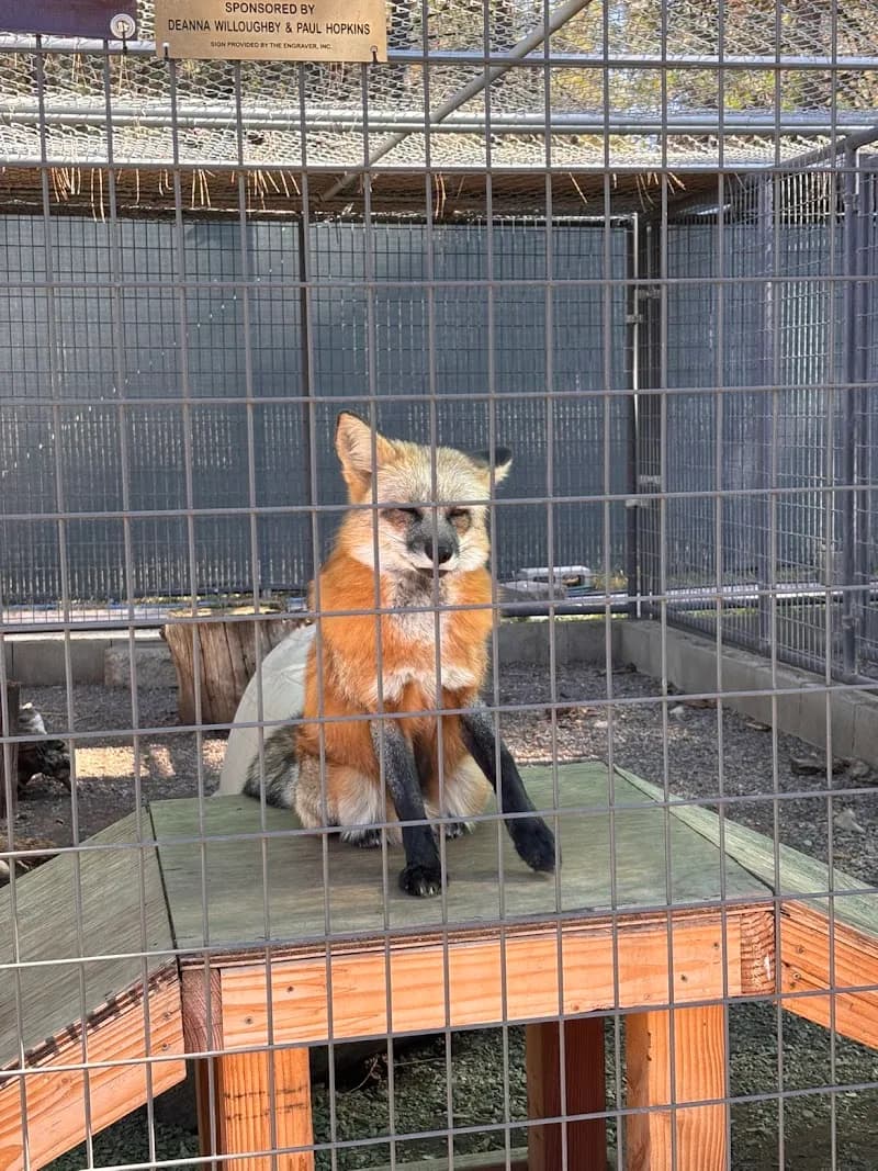 View of Cat Tales Wildlife Center in Spokane, WA