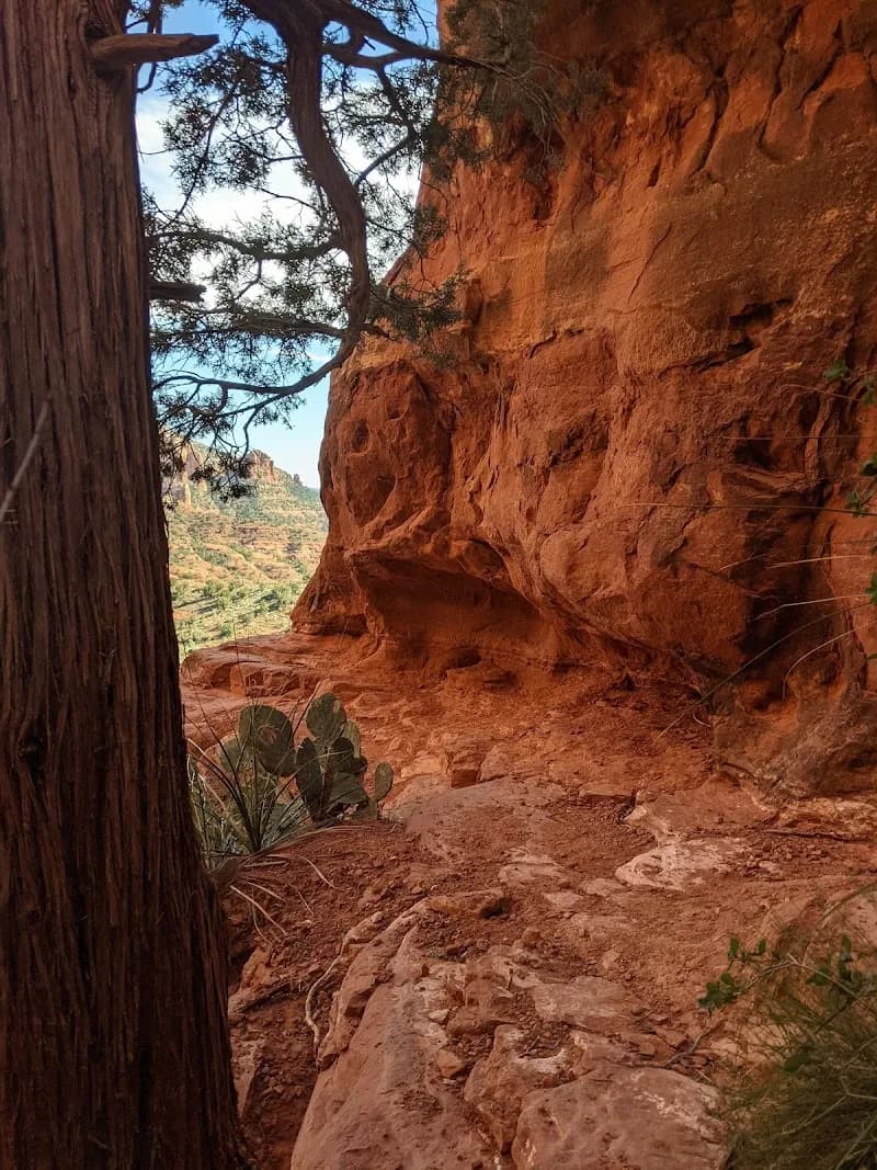View of Cathedral Rock Trail in Sedona, AZ