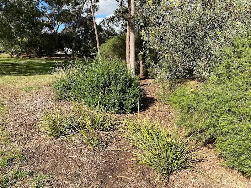 View of Cato Park Playground in Malvern, VIC