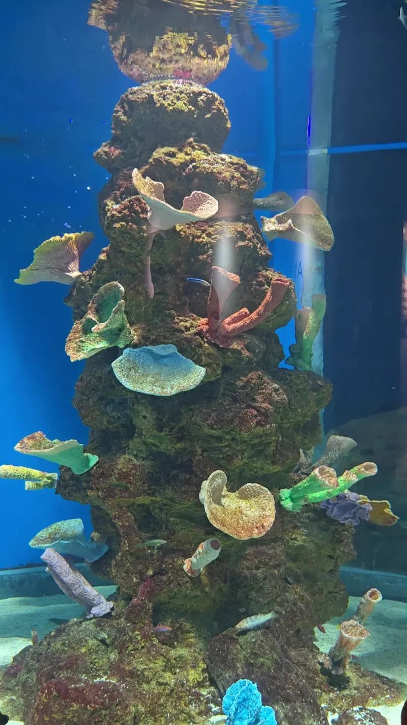 View of Cebu Ocean Park in Cebu, CV