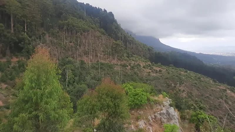 View of Cecilia Forest Trails in Claremont, WC