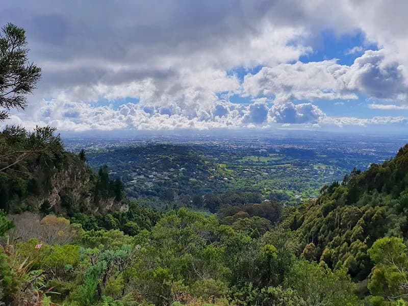 View of Cecilia, Table Mountain in Claremont, WC