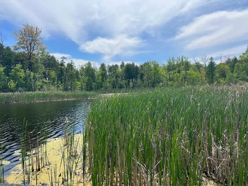 Cedarburg Bog State Natural Area nature preserve in Cedarburg, WI