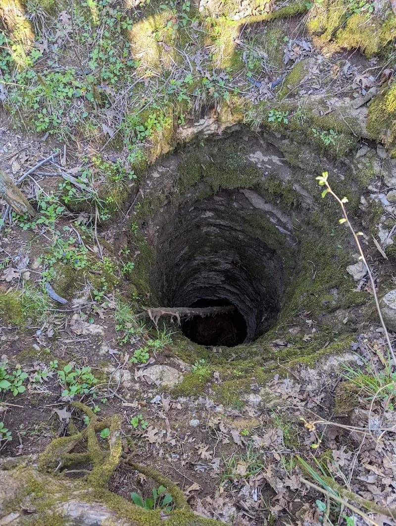 View of Cedars of Lebanon State Park in Lebanon, TN