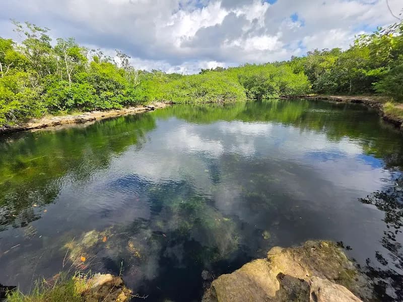 Cenote El Aerolito nature preserve in Cozumel, QR