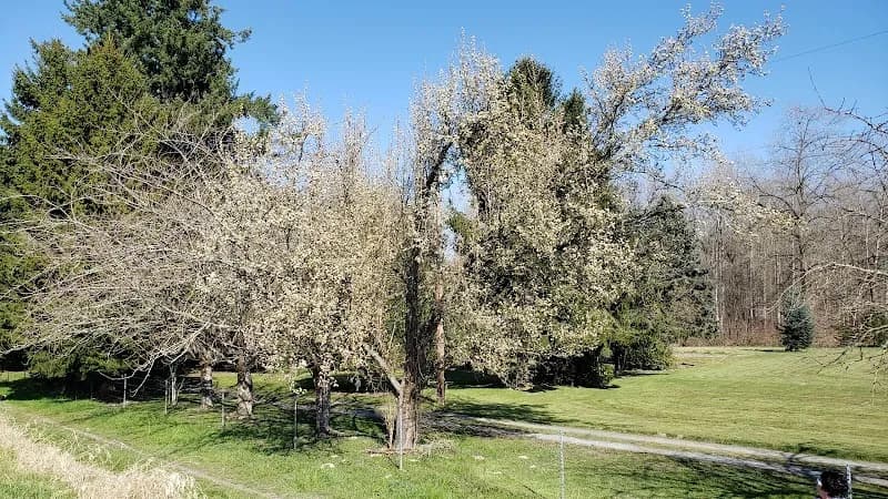 Centennial Trail route in Snoqualmie, WA