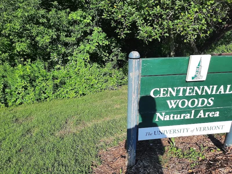 View of Centennial Woods Natural Area in Burlington, VT
