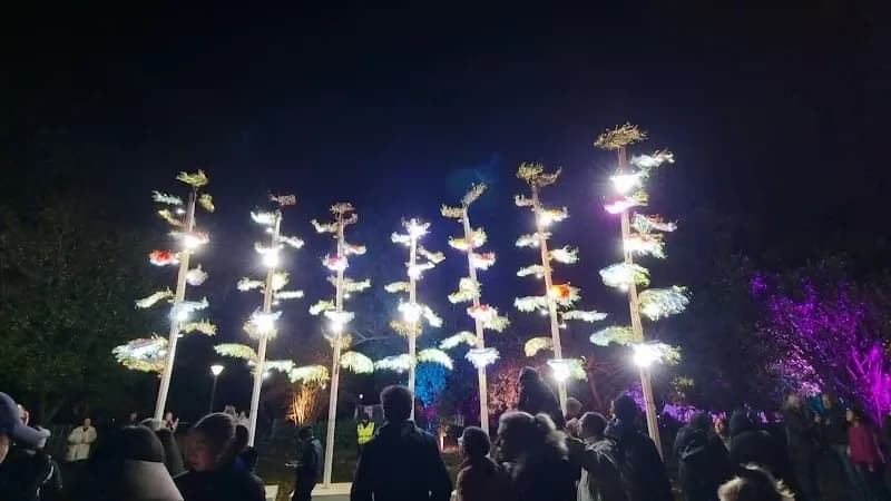 View of Central Park in Malvern, VIC