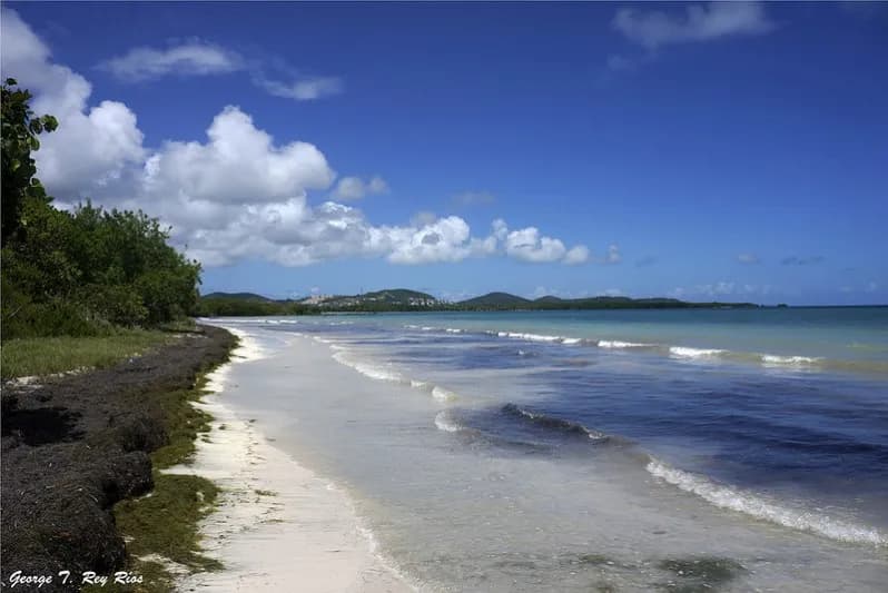 Centro de Investigación de Acuacultura de Ceiba attraction in Ceiba, PR