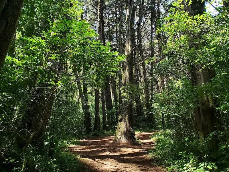 View of Centro Recreativo Bosque de la Hoja in Heredia, HD