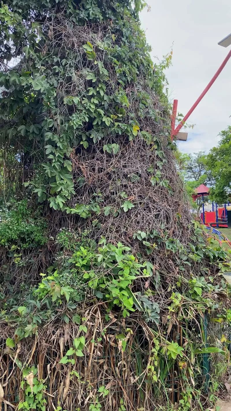 View of Centro Recreativo Curridabat in Curridabat, SJ