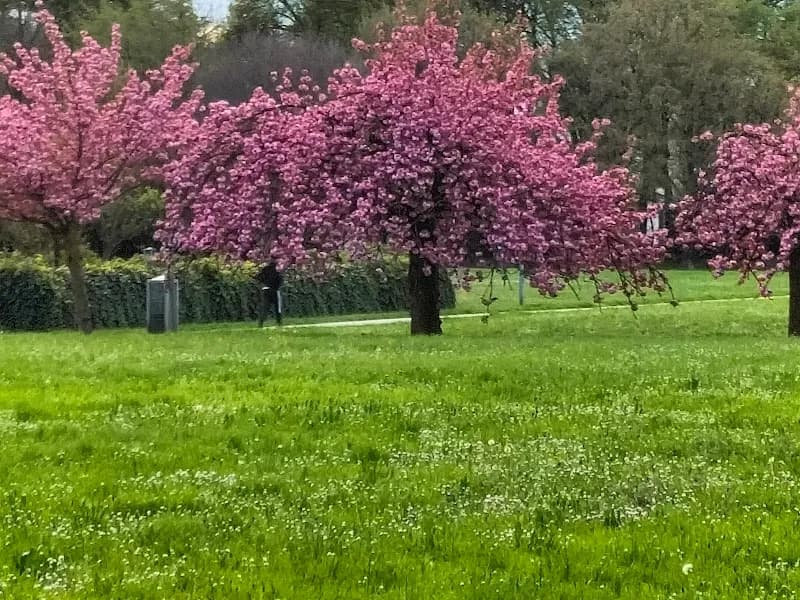 View of Centro Sportivo MestreFenice in Mestre, VE