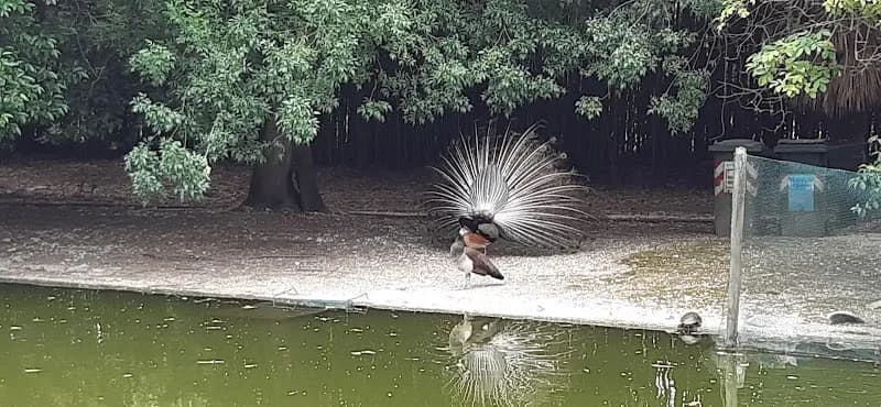View of Centro Sportivo MestreFenice in Mestre, VE