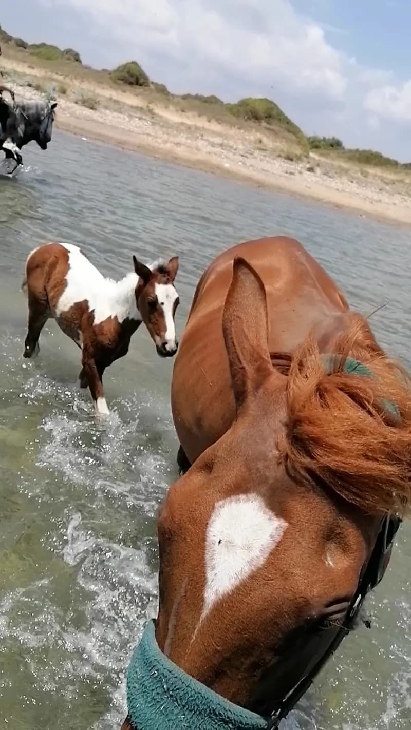 View of Ceylo Ranch in Side, Antalya
