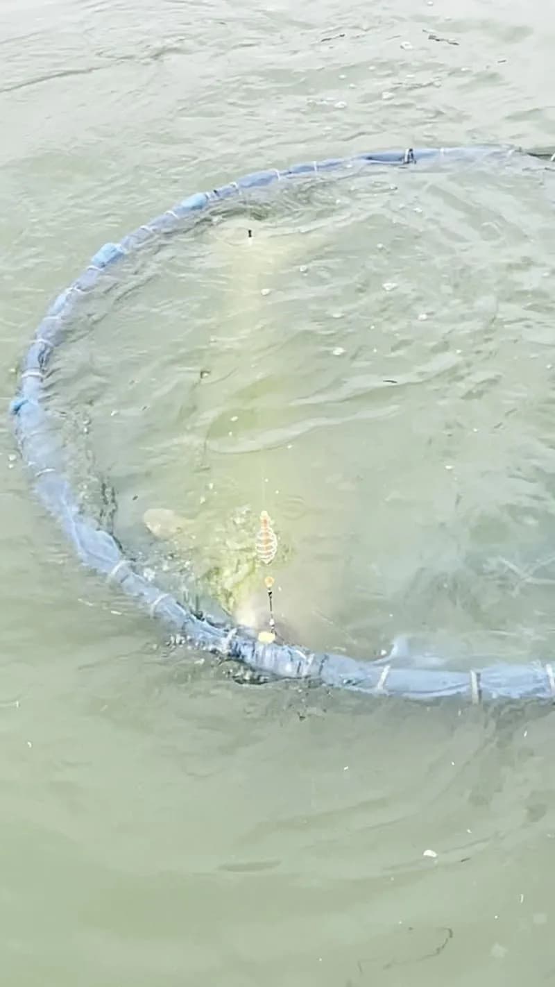 View of Chalong Fishing Village & Local Market in Chalong, Phuket