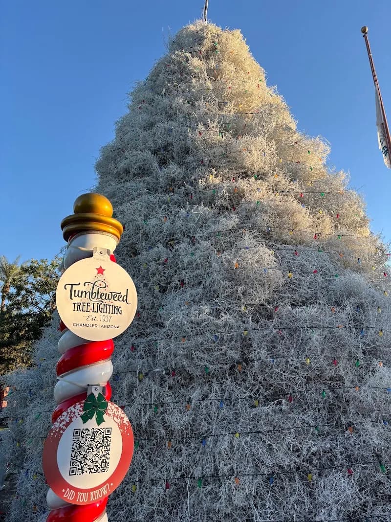 View of Chandler Park in Chandler, AZ
