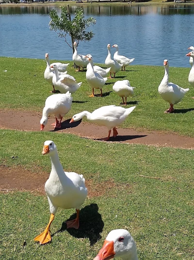 View of Chaparral Park in Scottsdale, AZ