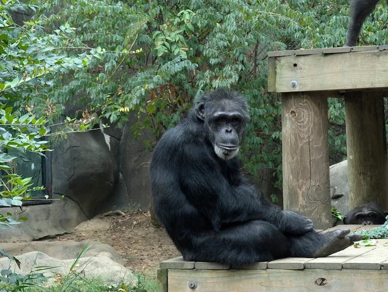 View of Chattanooga Zoo in Chattanooga, TN