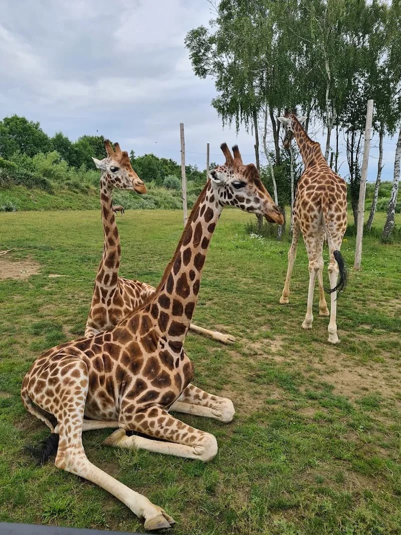 View of Chessington World of Adventures Resort in Kingston upon Thames, London