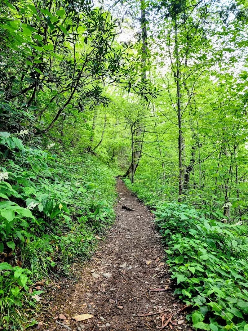 View of Chestnut Top Trailhead in Townsend, TN
