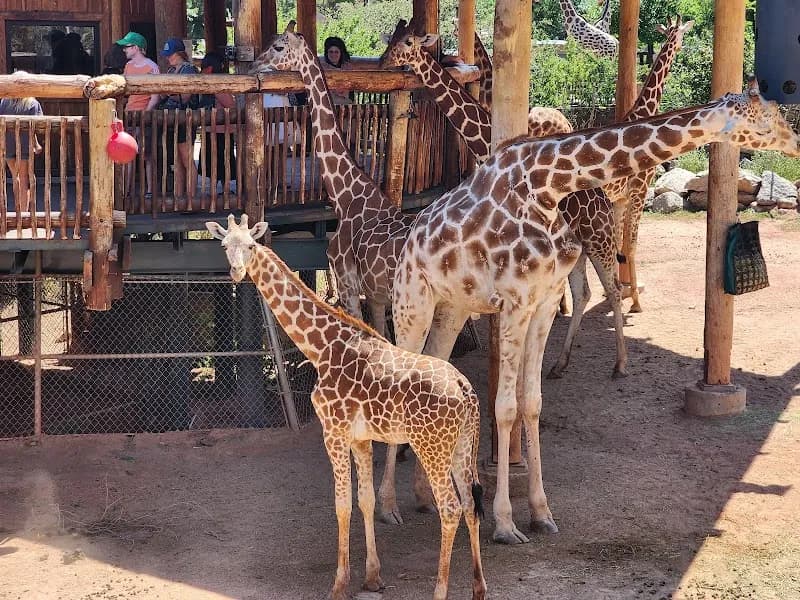 View of Cheyenne Mountain Zoo in Colorado Springs, CO