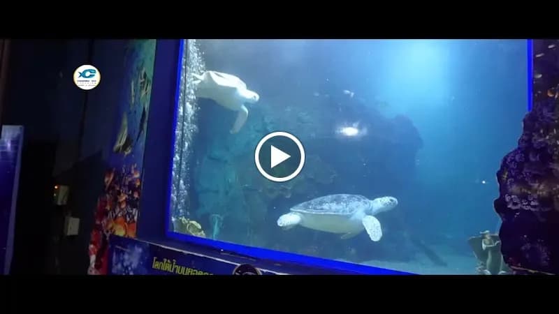 View of Chiang Mai Zoo Aquarium in Chiang Mai, CM