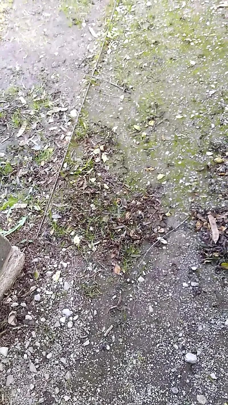 View of Chief Ladiga Trail, Piedmont, AL in Fort Payne, AL