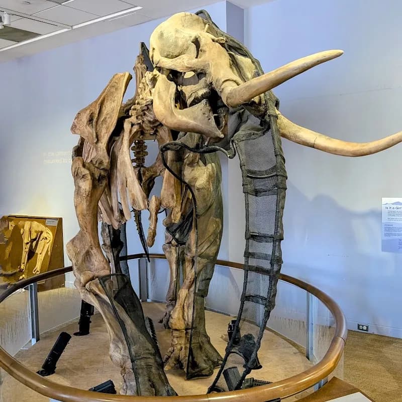 View of Children's Discovery Museum of San Jose in San Jose, CA