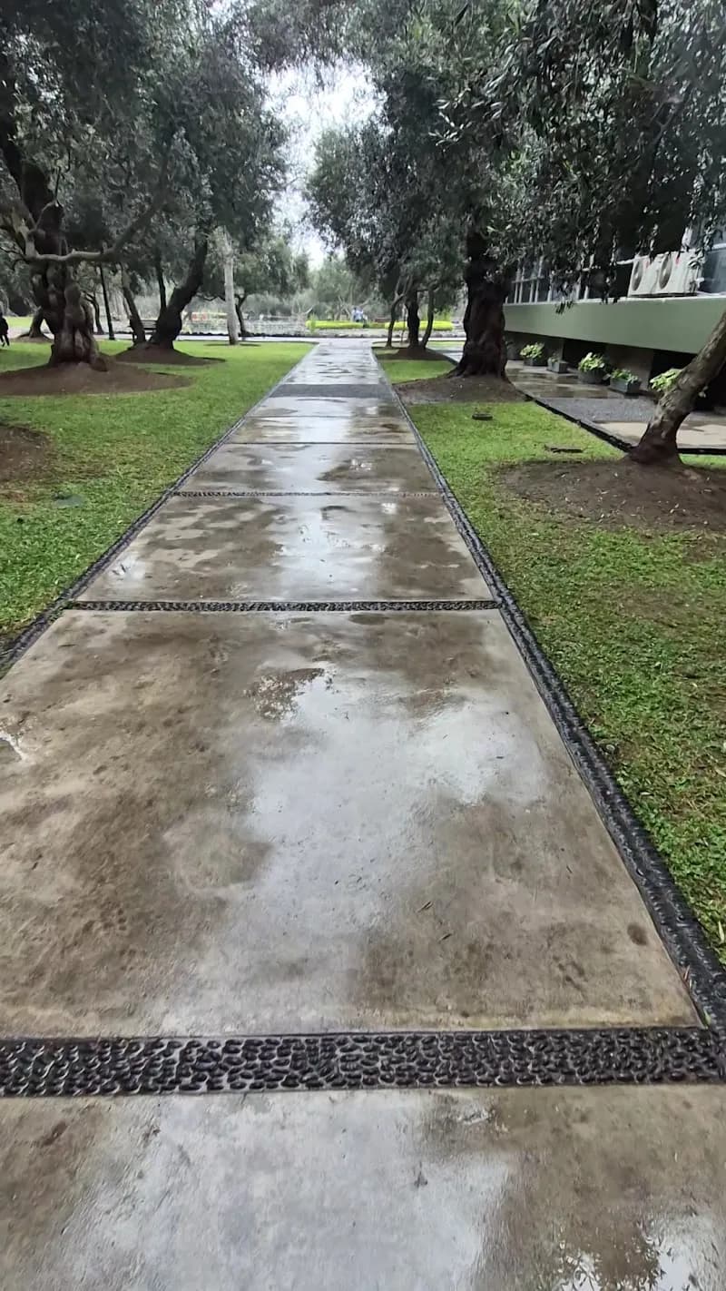 View of Children's Library of the Municipality of San Isidro in San Isidro, Lima