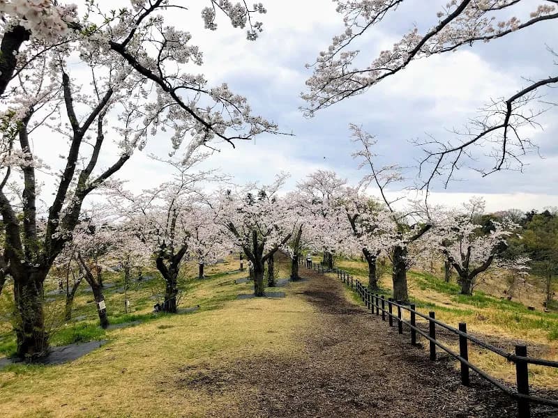 Children's Nature Park park in Asahi, Kanagawa
