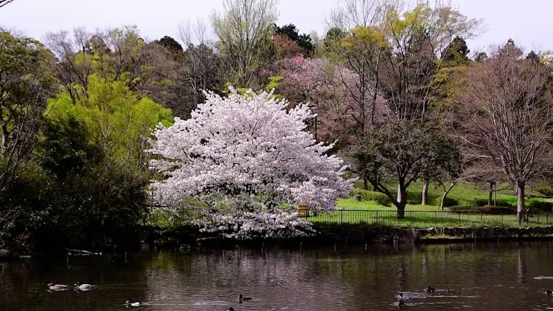 View of Children's Nature Park in Asahi, Kanagawa