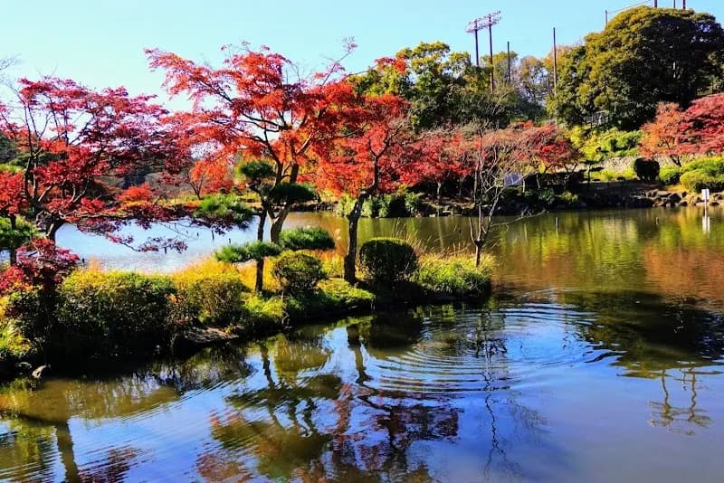 View of Children's Nature Park in Asahi, Kanagawa