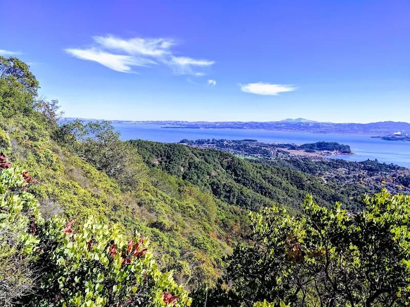 View of China Camp State Park in San Rafael, CA