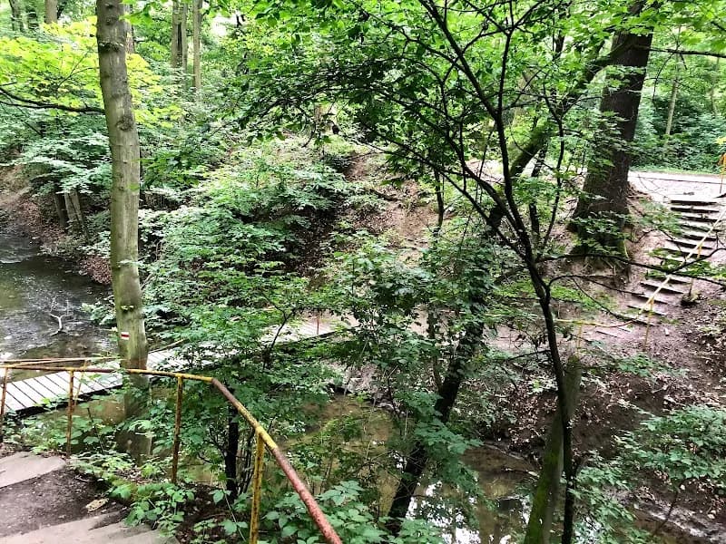 Chlebovická Obora (Nature Reserve) nature in Kolín, CZ
