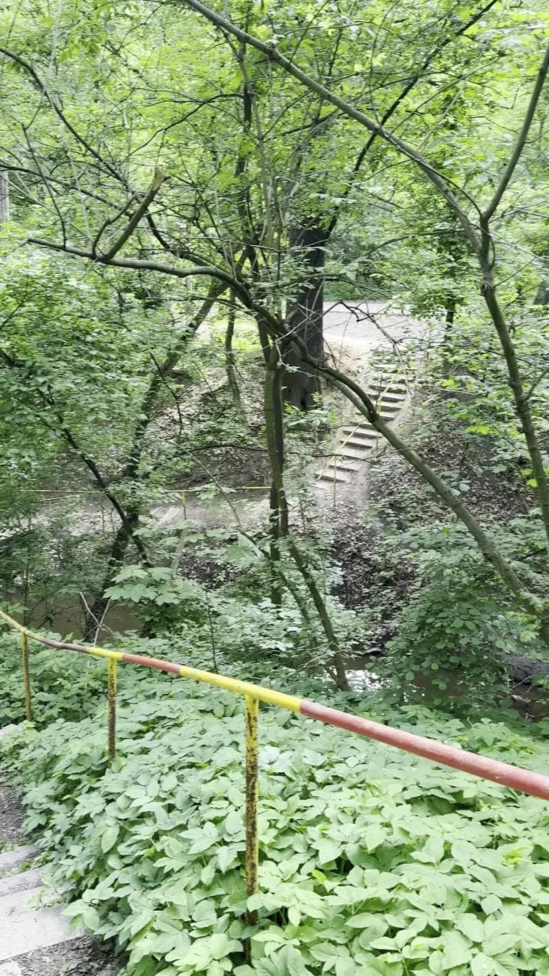 View of Chlebovická Obora (Nature Reserve) in Kolín, CZ