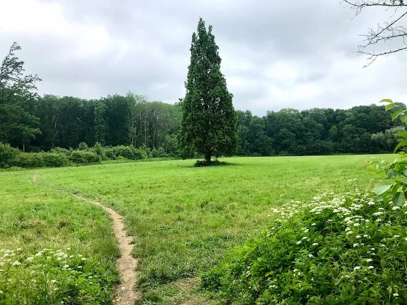 View of Chlebovická Obora (Nature Reserve) in Kolín, CZ