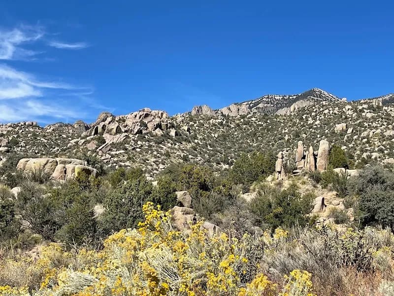View of Cibola National Forest in Edgewood, NM