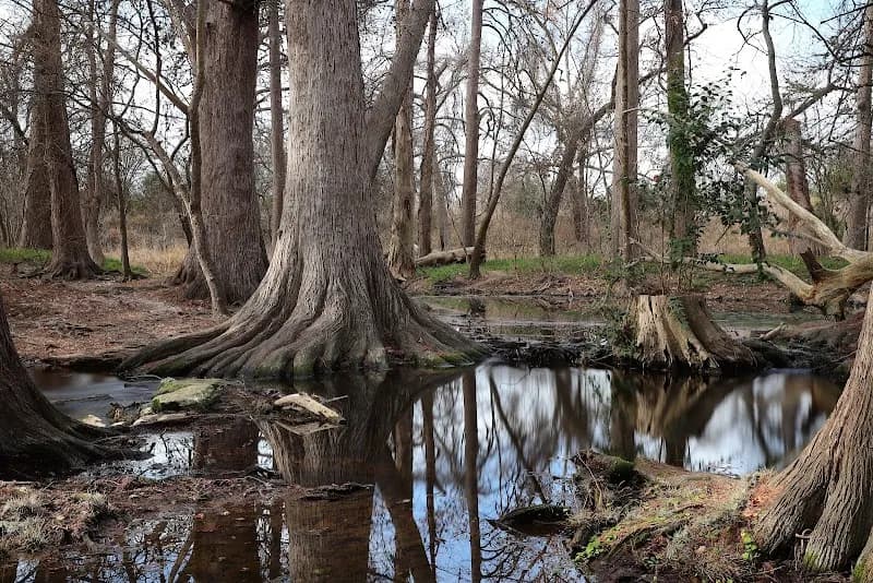 Cibolo Center for Conservation nature preserve in Boerne, TX