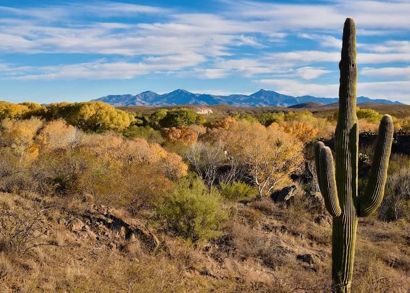 Cienega Creek Natural Preserve park in Vail, AZ