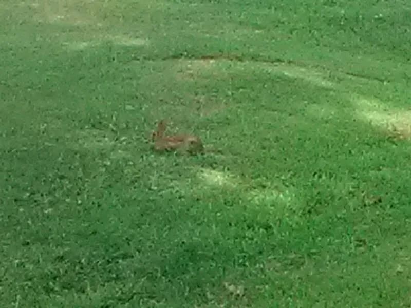 View of City of Concord Parks in Concord, NC
