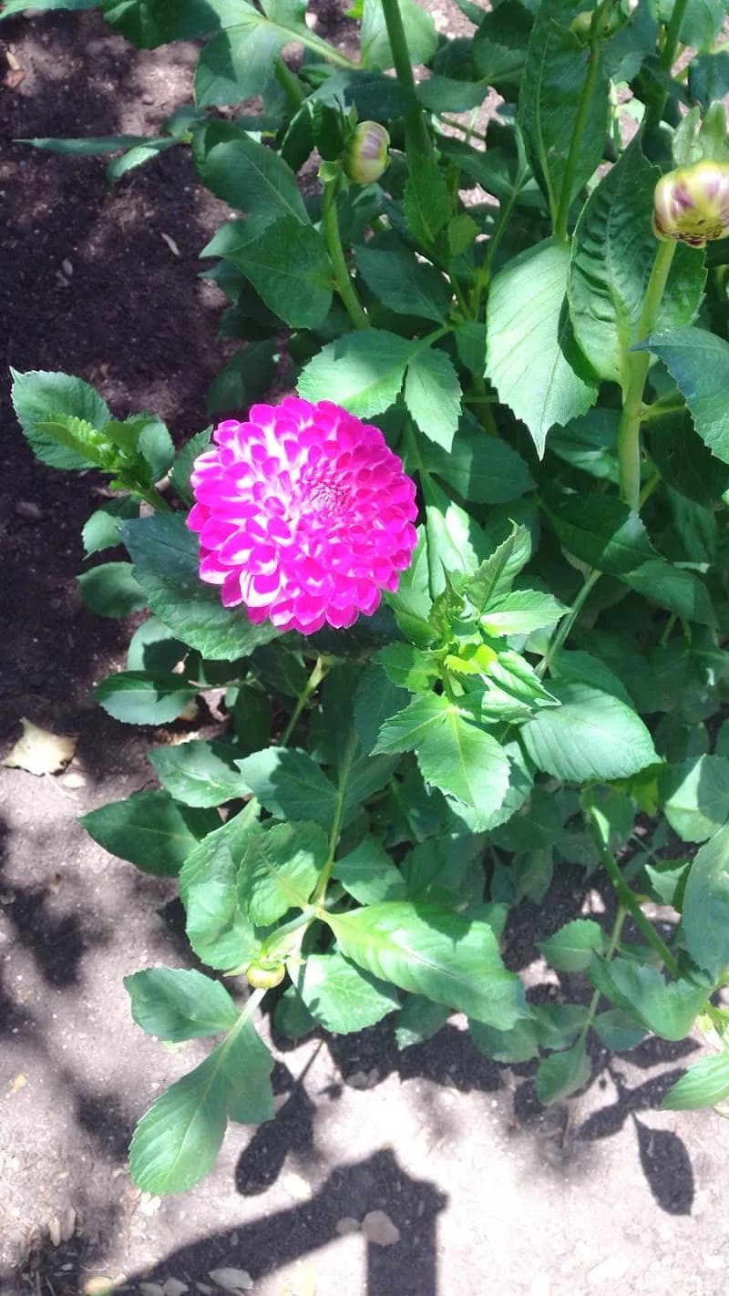 View of City of San Leandro Root Park in San Leandro, CA