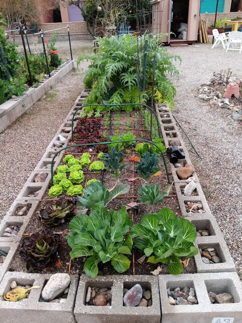 View of Civano Community Garden in Civano, AZ