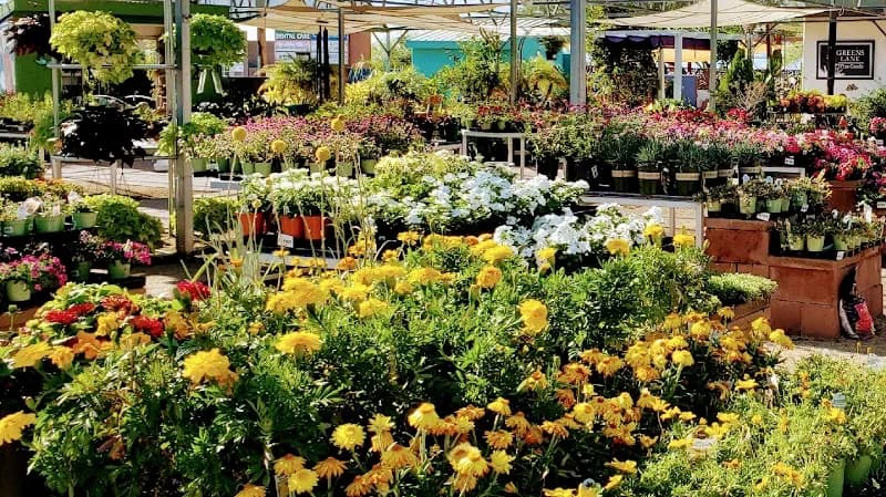 View of Civano Nursery - Retail Location in Civano, AZ