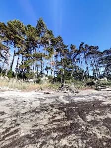 View of Clarks Beach in Waiuku, AKL