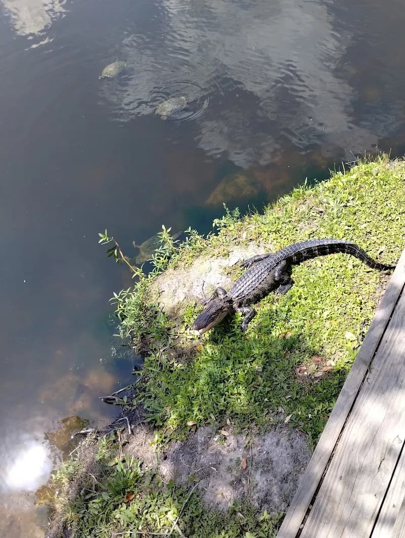 View of Clear Creek Kayaks in Clear Lake, TX