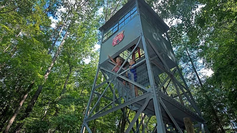View of Clemmons Educational State Forest in Clayton, NC