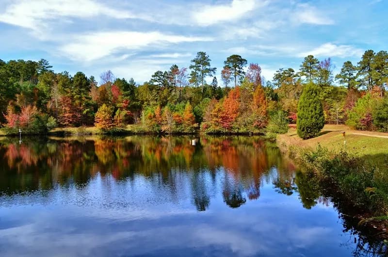 View of Clemmons Educational State Forest in Clayton, NC