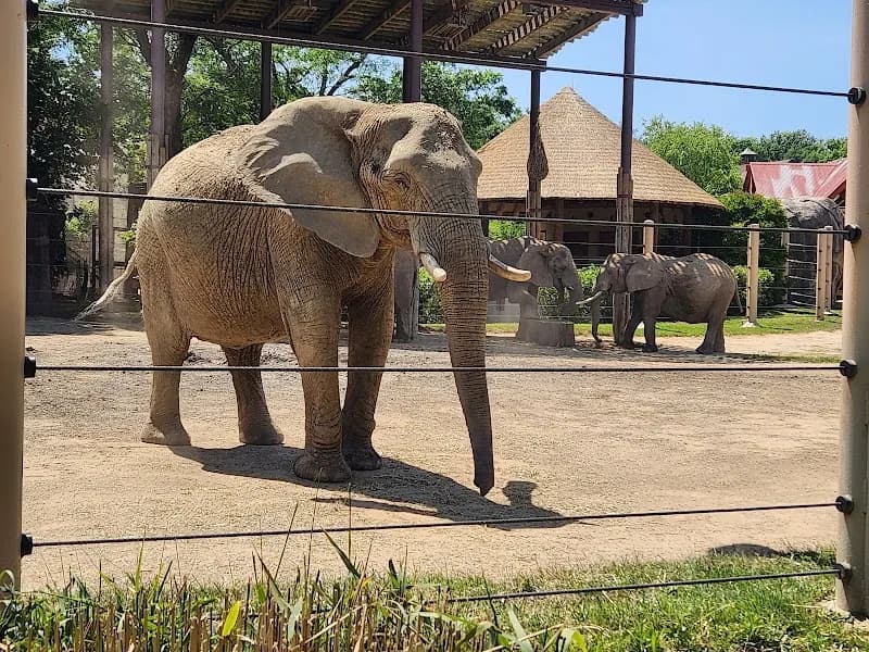 Cleveland Metroparks Zoo zoo in Cleveland, OH