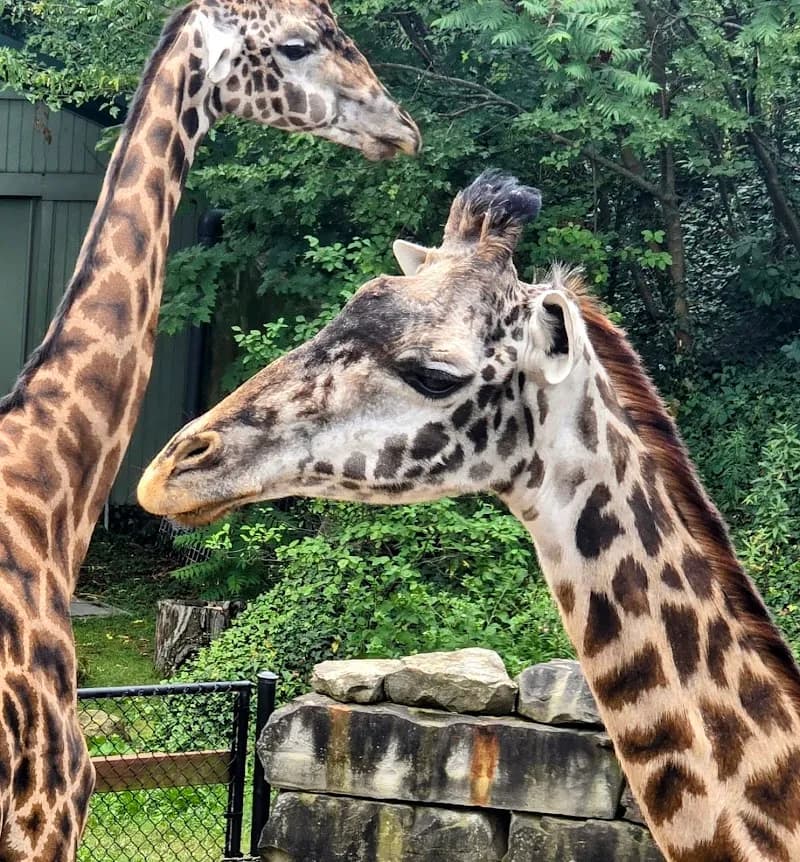 View of Cleveland Metroparks Zoo in Cleveland, OH