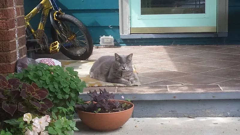 Clintonville Community Market grocery store in Clintonville, OH
